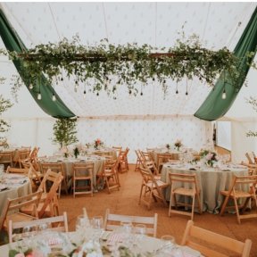Fern Lining & Antique Ladder Lighting