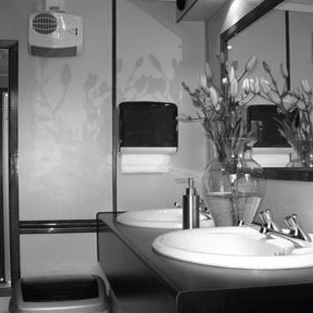 Luxury Loo Interior